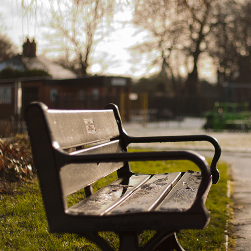 Memorial Park Bench